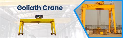 Goliath Crane - Heavy Duty Goliath Cranes from Ahmedabad