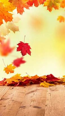 Fall Backgrounds 2019 by Fall Wallpaper Background Lock Screen Fall Wallpaper Fall Backgrounds 2019