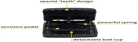 Reusable Plastic Portable Rat/MICE/Mouse Trap : Amazon.in: Garden ...