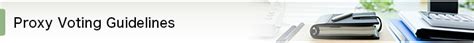 Proxy Voting Examples 的图像结果