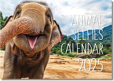 The Calendar King // Only Fans - 2025 Wall Calendar (Full Colour, A4 Size) : Amazon.co.uk ...