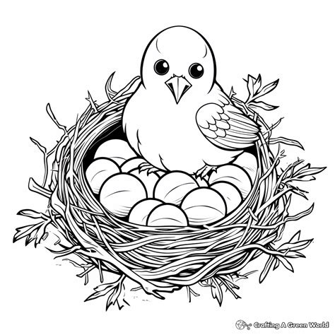 Bird Nest Coloring Pages - Free & Printable!