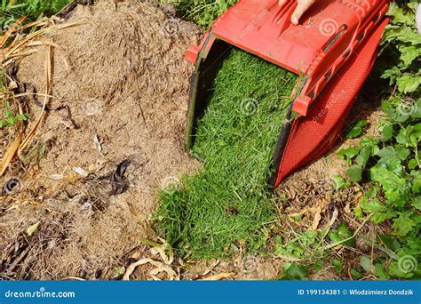 Composting Grass Clippings. Dumping Grass from the Mower Bin Stock ...