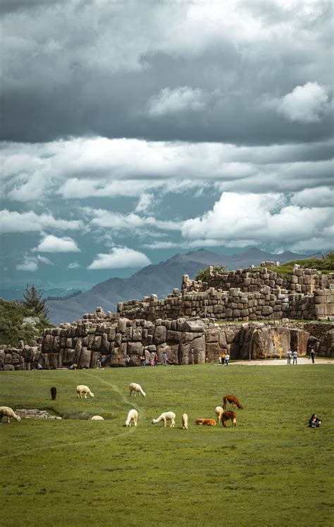 Anime+Girls+Bending+Over Photos, Download The BEST Free Anime+Girls ...