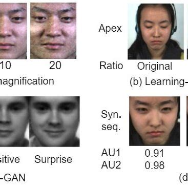 Mes Examples 的图像结果