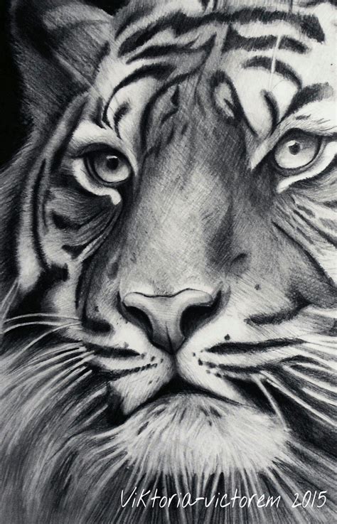 realistic pencil drawings of animals - Shirlene Satterfield