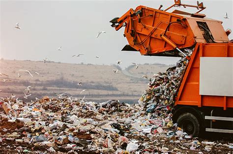 Bangalore: BBMP plans huge city garbage collection infrastructure