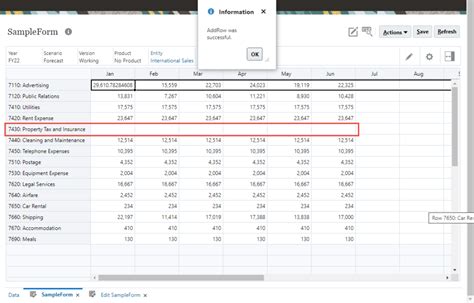 Form Add Row HTML Example 的图像结果