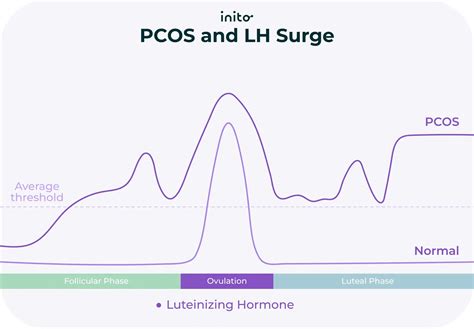 Positive Ovulation Test 7 Days in a Row: What Should I Do?