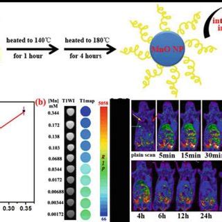 Springer Nature Book Example 的图像结果