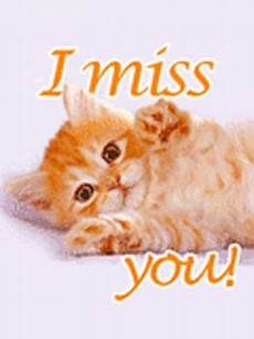 i miss you gif find on giphy i miss you gif find on giphy i miss you gif find on giphy i miss you gif find on giphy