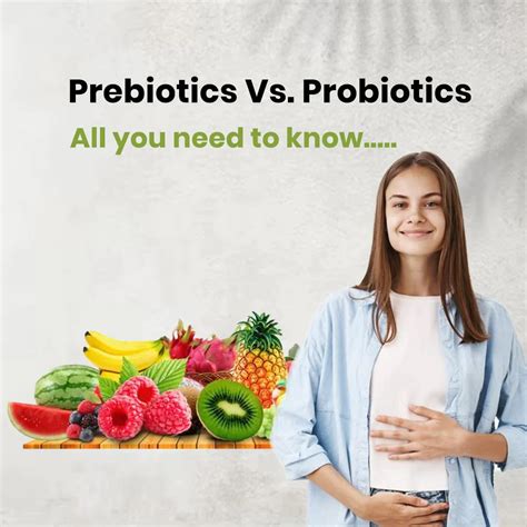 Prebiotics vs. Probiotics: What’s the Difference and Why Do You Need Both? | by Vitalize ...
