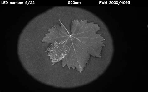 Multispectral Imaging Tutorial 的图像结果