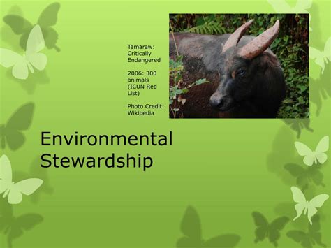 Stewardship 的图像结果