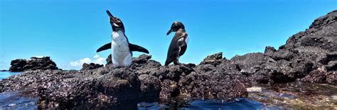 3 Week Ecuador Itinerary + Map (Mailand & Galapagos) – Bucketlist 2 Life