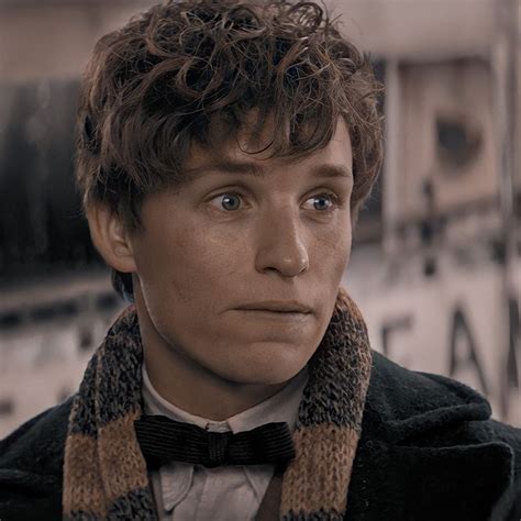Eddie Redmayne, Newt Scamander Aesthetic, Newton Scamander, Harry ...