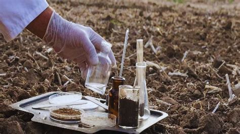 बड़ी खबर: बिहार में मिट्टी जांच लैब के लिए जल्द आएगी वैकेंसी, नौकरी के ...