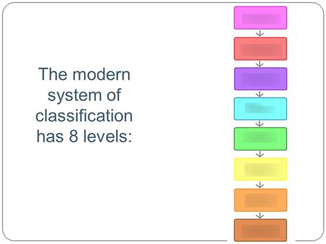 Image result for Classification System Flashcards