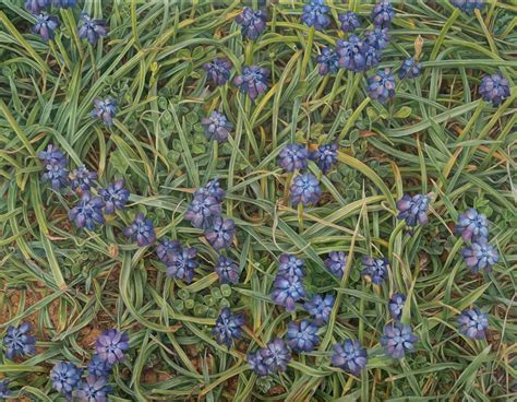 No.26, 90x70cm, oil on linen canvas, AVAILABLE - JA Paunkovic