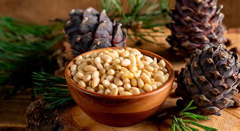�������� �����: ������ � ���� ��� ��������� � ������ �� Gastronom.ru