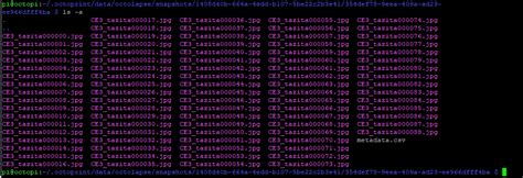 Snapshots from the octolapse timelapse through the http - Octolapse ...