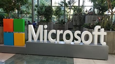 Image result for Microsoft Support