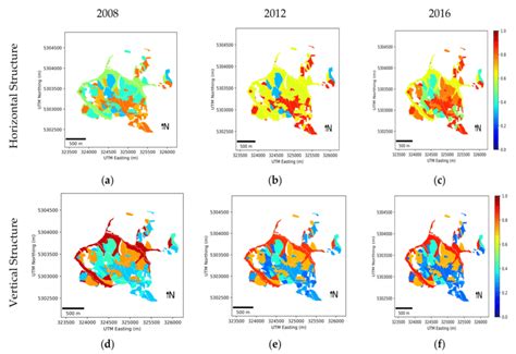 Forest Structure 的图像结果