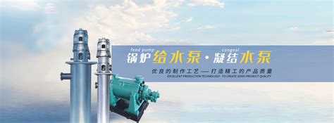 沈阳不锈钢潜水泵（QWH-QWHP）-泵阀商务网