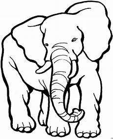 malvorlagen elefant grosser elefant 2 ausmalbild malvorlage tiere malvorlagen elefant grosser elefant 2 ausmalbild malvorlage tiere