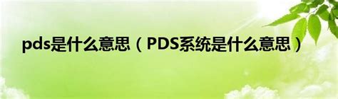 PDPS是什麽意思? - PDPS的全稱 | 在線英文縮略詞查詢