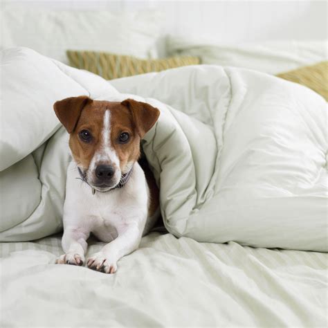 AC Hotel Portland Lake Oswego | Modern Hotel