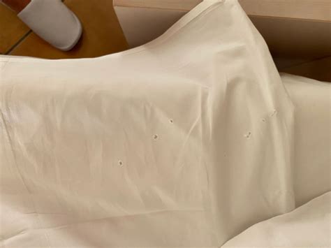 OCCIDENTAL CALA VINAS (Calvia, Majorca, Spain) - Hotel Reviews, Photos ...