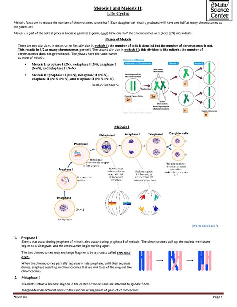 Meiosis bio - Summary English Literature - *Meiosis Page 1 Meiosis I ...