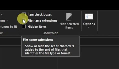 Image result for How to View File Extensions Windows 1.0