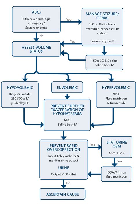 Hyponatremia Algorithm 的图像结果