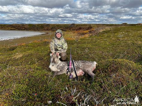 Caribou Hunt Alaska | AfricaHunting.com