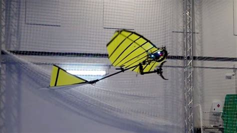 Robot Bird Design 的图像结果