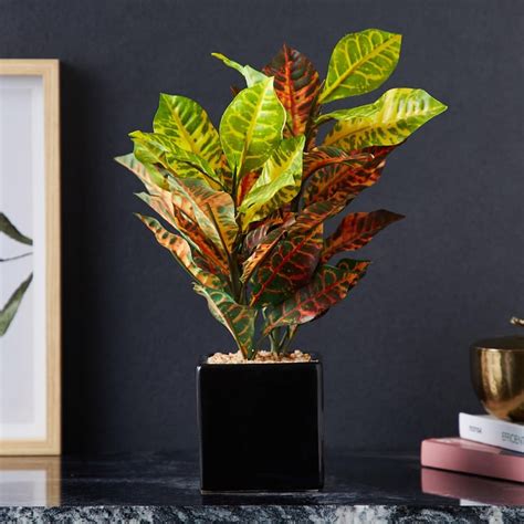 Buy Fiesta Foliage Artificial Plant in Ceramic Pot from Home Centre at ...