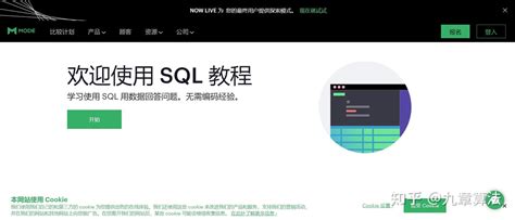 SQL Trendytech 的图像结果