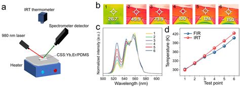 The Upconversion Luminescence of Ca3Sc2Si3O12:Yb3+,Er3+ and Its ...