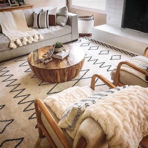 Poly and Bark Review - Must Read This Before Buying