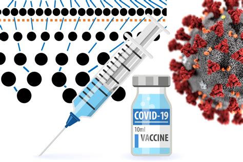 Rezultat imagine pentru Go Math Lessons