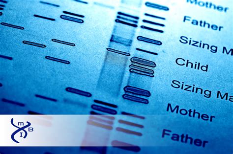 Basic DNA Fingerprinting 的图像结果