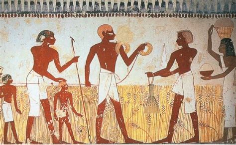 Neolithic Revolution 的图像结果