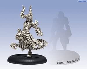 Buy Warmachine : Cryx Satyxis Raider Captain Online at Low Prices in ...