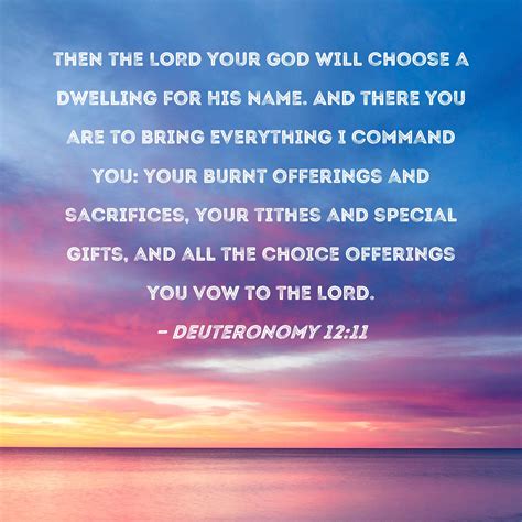 Deuteronomy 12:11 then the LORD your God will choose a dwelling for His ...