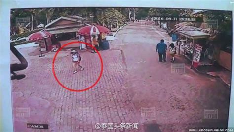 36岁中国女游客在泰国老虎园失踪 两百人连夜搜寻仍未见 – 博聞社