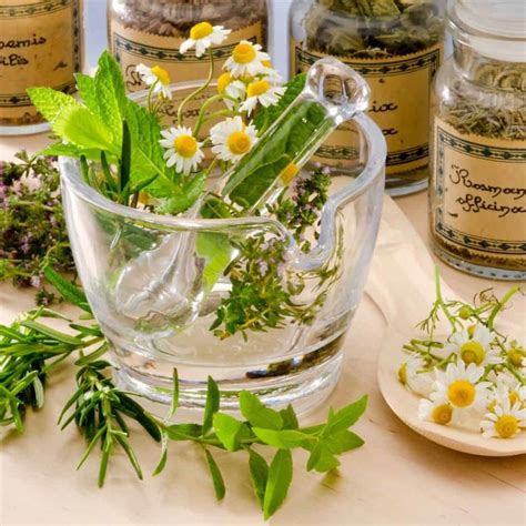 Does Tea Dehydrate You? The Truth About Tea, Caffeine & Staying Hydrated - Brewed Leaf Love