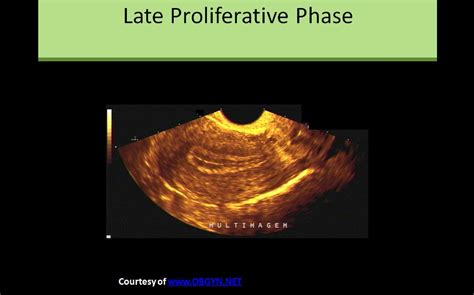 Ultrasound Registry Review - General Information