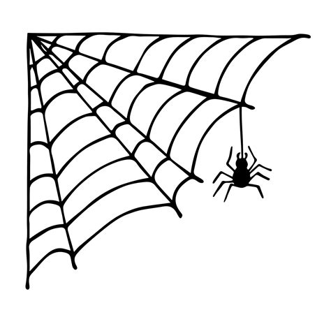 Simple hand drawn spider web illustration. Cute gossamer clipart ...